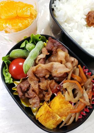 女子高生のお弁当(2年目1学期-①)-レシピのメイン写真