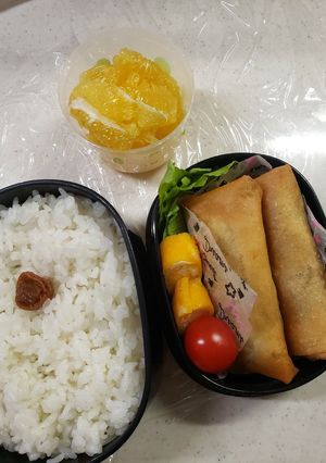 女子高生のお弁当(2年目１学期-②)-レシピのメイン写真