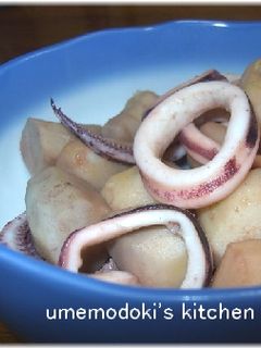 イカと里芋の煮物-レシピのメイン写真