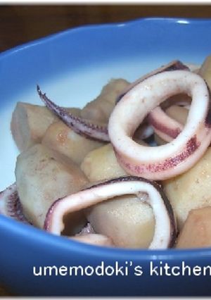 イカと里芋の煮物-レシピのメイン写真