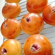 桜香る・おから生地のあんパン