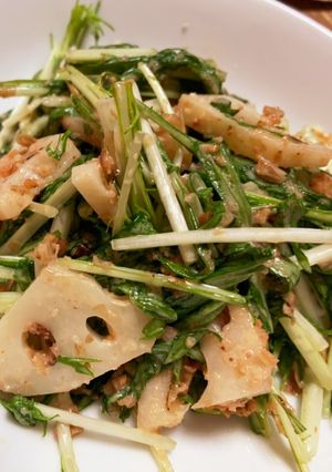 レンコンと水菜のタラマヨサラダ-レシピのメイン写真