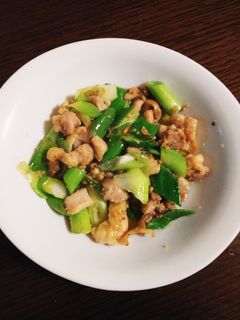 簡単☆鶏肉と長ネギのガーリック炒め-レシピのメイン写真