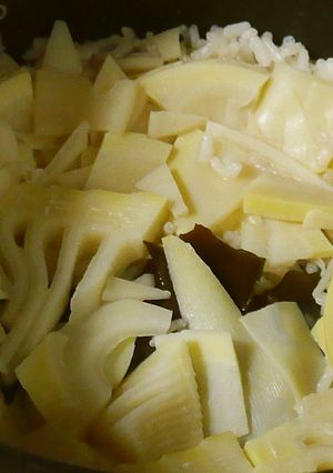 昆布も一緒に炊いた筍たっぷりご飯-レシピのメイン写真