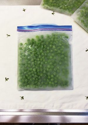 旬のグリーンピース☆茹で汁ごと冷凍パック-レシピのメイン写真