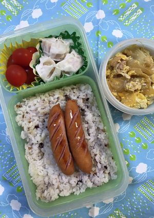 20210414マイ弁当-レシピのメイン写真