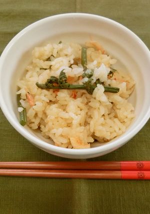 桜えびと山菜の炊き込みご飯-レシピのメイン写真