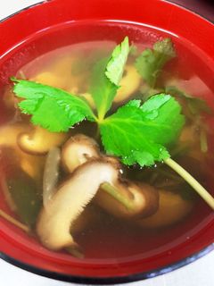 椎茸のお吸物-レシピのメイン写真