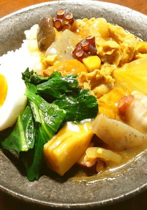 和風カレー　新玉葱の芯の部分＆発酵新玉葱-レシピのメイン写真