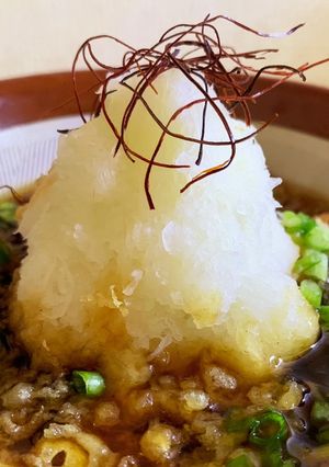 罪悪感0!おろしタヌキ-レシピのメイン写真