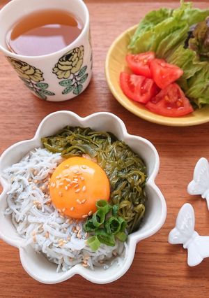 簡単 めかぶ しらす丼-レシピのメイン写真