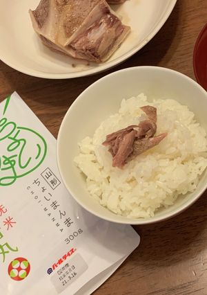 マグロかまご飯-レシピのメイン写真