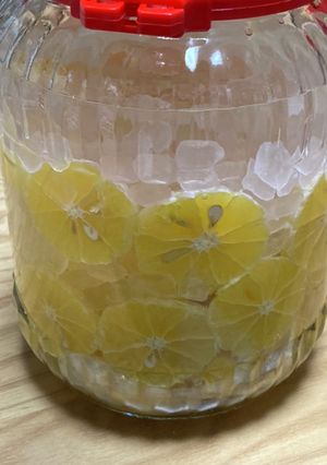 湘南ゴールド果実酒-レシピのメイン写真