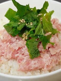 乗せるだけで簡単まぐろのタタキ丼-レシピのメイン写真