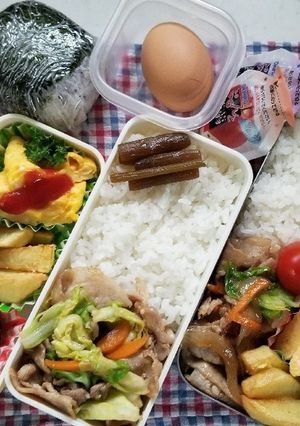 春キャベツ豚肉炒め弁当(4.16)-レシピのメイン写真