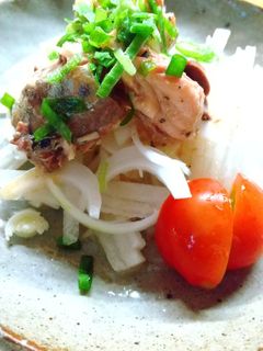 新玉ねぎとさば缶でこくうまサラダ-レシピのメイン写真