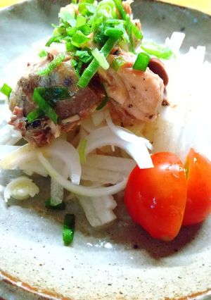 新玉ねぎとさば缶でこくうまサラダ-レシピのメイン写真