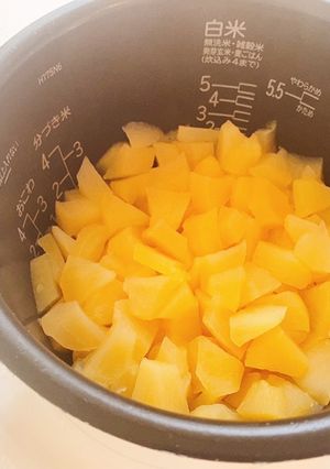 炊飯器でりんご煮-レシピのメイン写真