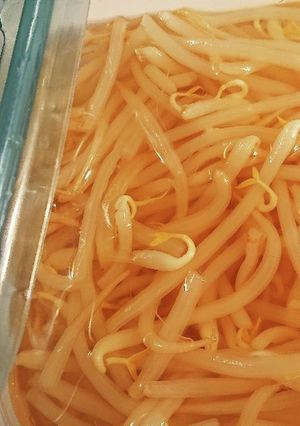 もやしレモン-レシピのメイン写真