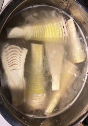 たけのこの下処理-レシピのメイン写真