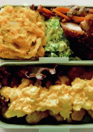 女子高生が作る低糖質弁当[day9]-レシピのメイン写真