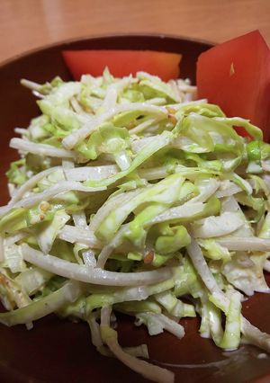 簡単！ごぼうとキャベツのサラダ-レシピのメイン写真