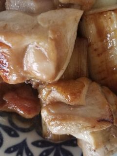 鳥とネギの焼き鳥風-レシピのメイン写真