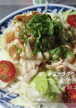 冷しゃぶサラダうどん-レシピのメイン写真