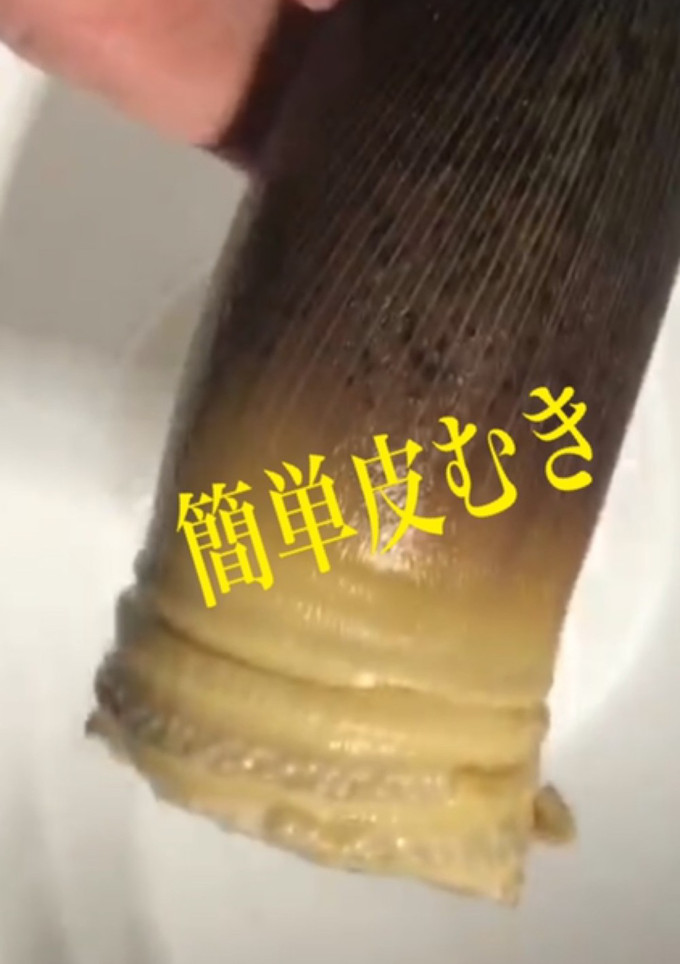 竹の子の皮いっきに剥く方法-レシピのメイン写真