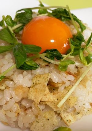 アニメ飯☆天気の子の陽菜炒飯-レシピのメイン写真