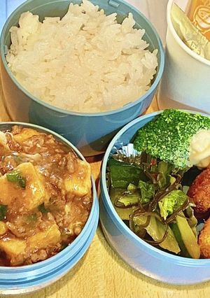 焼肉のたれの麻婆豆腐　タロの弁当120-レシピのメイン写真