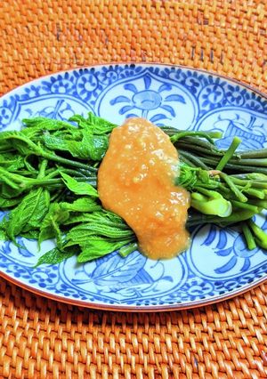 コシアブラの酢味噌かけ-レシピのメイン写真