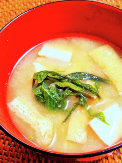 コシアブラの味噌汁-レシピのメイン写真