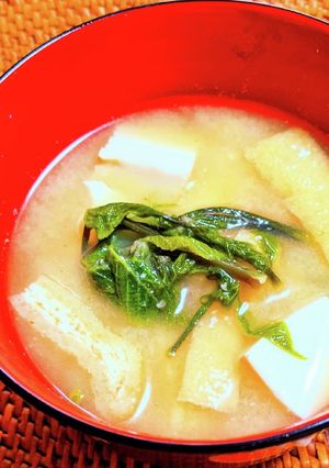 コシアブラの味噌汁-レシピのメイン写真
