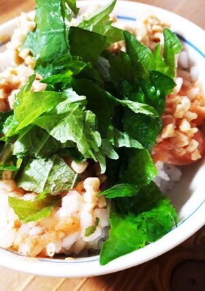 明太子とひきわり納豆のシソのせご飯-レシピのメイン写真