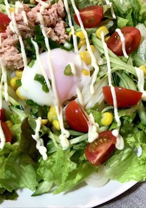 春野菜たっぷり！簡単！サラダうどん-レシピのメイン写真
