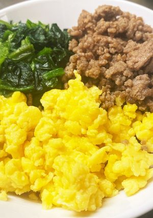 三色丼(1人分)-レシピのメイン写真