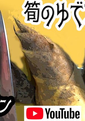 電気圧力鍋で15分【筍の茹で方】-レシピのメイン写真