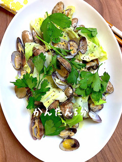あさりと春キャベツの白だし蒸しダイエット-レシピのメイン写真