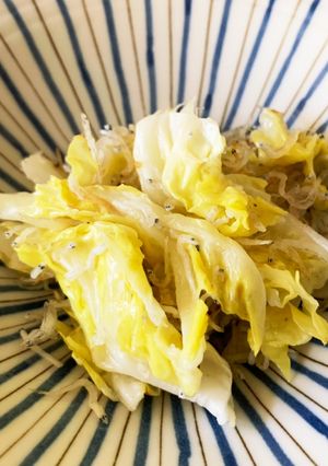 春キャベツとシラスの胡麻油炒め-レシピのメイン写真