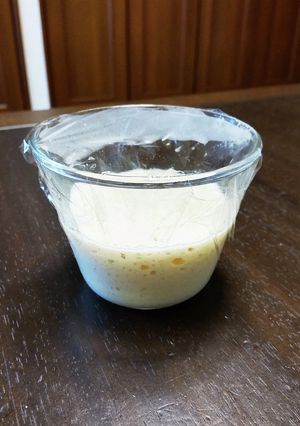 ホシノ天然酵母起こし☆常温でもOK-レシピのメイン写真