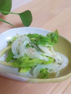 新玉ねぎとセロリのナムル-レシピのメイン写真