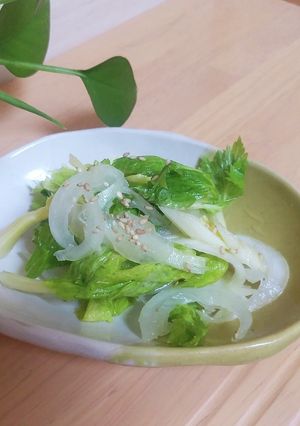 新玉ねぎとセロリのナムル-レシピのメイン写真