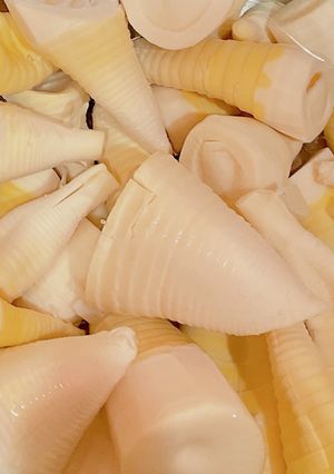 タケノコの下処理と塩での灰汁の抜き方-レシピのメイン写真