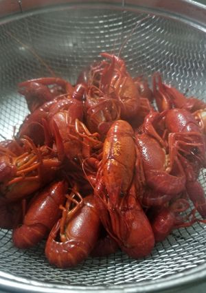 ザリガニの塩ゆで-レシピのメイン写真