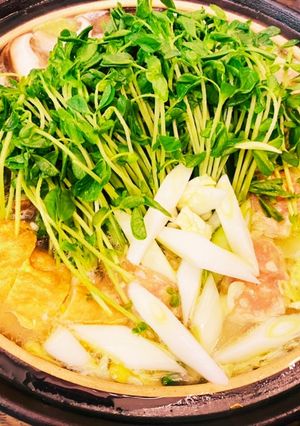 鶏の水炊き『きのう何食ベ』#100-レシピのメイン写真