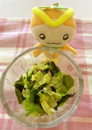 春きゃべつのサラダ-レシピのメイン写真