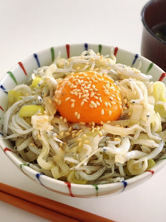 とろとろネギとしらすのご飯-レシピのメイン写真