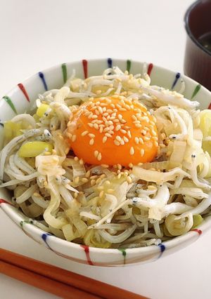 とろとろネギとしらすのご飯-レシピのメイン写真
