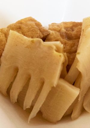 タケノコと厚揚げの煮物-レシピのメイン写真